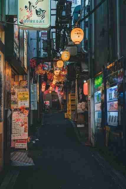 蘑菇视频（最新版）：离线推荐与深度测评
